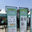 강동로4-5 | <iM금융오픈 2026> KLPGA 투어 갤러리 현장 후기| 무료입장권, 경품, 주차, 먹거리, 준비물 총정리