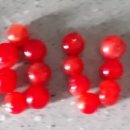 브릭리언트 이미지