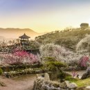 주무대 앞 이미지