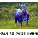 넌센스 이미지