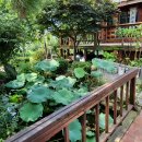 한여울통나무랜드 이미지