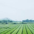 안덕디자인 이미지