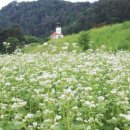 하얀낭만 웹이코노미