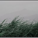 바람의노래 Daum카페