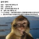 플라워화장품 - 송파구 바람드리길 48 | 타오바오 화장품 구매 후기 (플라워노즈, AZTK) 💐 💄