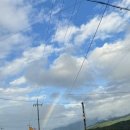 은지네김밥 이미지