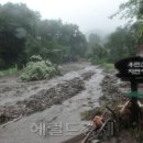 우면산3-15 이미지