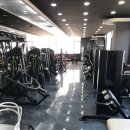 휘트니스모두