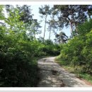 지리산신선둘레길 이미지