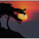 여의주 이미지