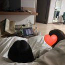 월드당구장 | [후기] 극성수기 홍천 소노벨 비발디파크 / 홍천 오션월드 후기 ◡̈