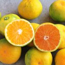 부동농장 이미지