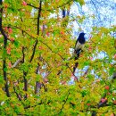 창신세탁소 이미지