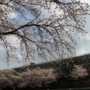 장유중학교 이미지