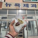 뉴욕제과 | 문경 뉴욕제과 솔직후기 기대보다는 평범했던 찹쌀떡 도너츠 오픈런 주차