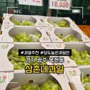 삼촌네과일 | 경기 광주 목현동 삼촌네과일 과일사는곳 내돈내산