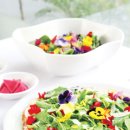 민들레한방병원 이미지