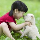 청계종합동물병원 이미지