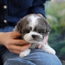 글로리아 켄넬 이미지