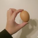 찬늘농장 네이버블로그