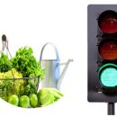 초록푸드 이미지