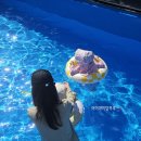 팔봉지하수
