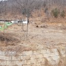 홍천부동산공인중개사사무소 이미지