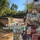 경암근린공원3 | 광산구 가볼 만한 곳] 도심 속 힐링 산책 명소 🌿 하남동 경암근린공원 황톳길 맨발걷기 + 강아지 산책 추천