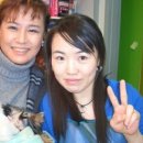 더 도도하개 이미지