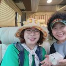 주선목장 이미지