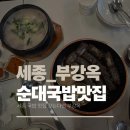 맛집 | 세종 부강옥 순대국밥 맛집 후기