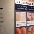 스파인더파리