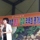 순정감자 이미지