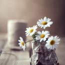 늘처음처럼 이미지