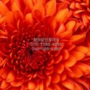 대전탄방초등학교 이미지