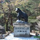 무릉계곡 1호 이미지