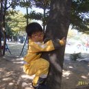 남천어린이집 이미지