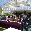 둔산초등학교 이미지