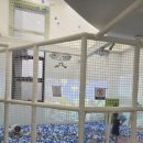 위례믿음공인중개사사무소 이미지