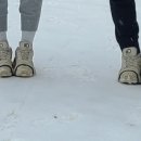 휘닉스민박 이미지