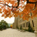 동국대학교 미래융합대학원 이미지