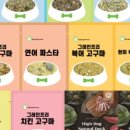 하이독 이미지
