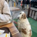 [행복대학]선물 도시락 만들기 | 2월 일상🎀9개월 아기의 일상/첫 문센 후기/쇼핑리스트/파베초콜릿만들기/와플대학홀릭..🧇