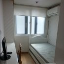 씨티블루 이미지