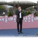 서울대공원 벚꽃축제 사진 🌹 이미지