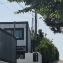 태안 황도 어거스트 풀빌라 후기 (+두꺼비짬뽕) [내돈내산]