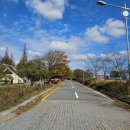 나불도 승마랜드 이미지