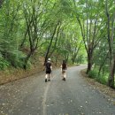 황토이용원 이미지