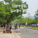 인천대공원(식물원 뒤) | 인천대공원 주차장, 자전거대여, 그늘막쉼터 봄나들이 꿀팁
