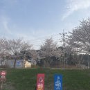 커피콩 | 오죽헌전통뱃놀이체험시설 강릉 커피콩 탑승 후기,꿀팁,주차장